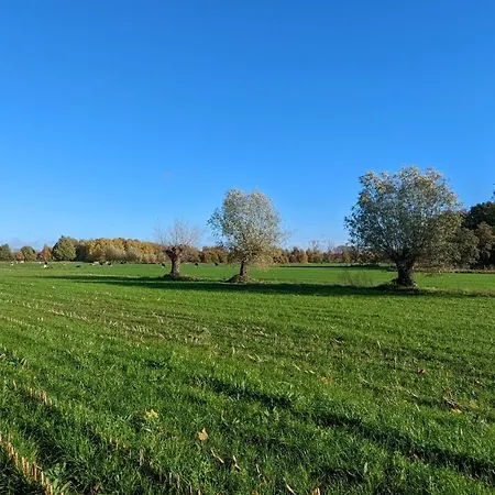 Crash'nstay - N° 9 *