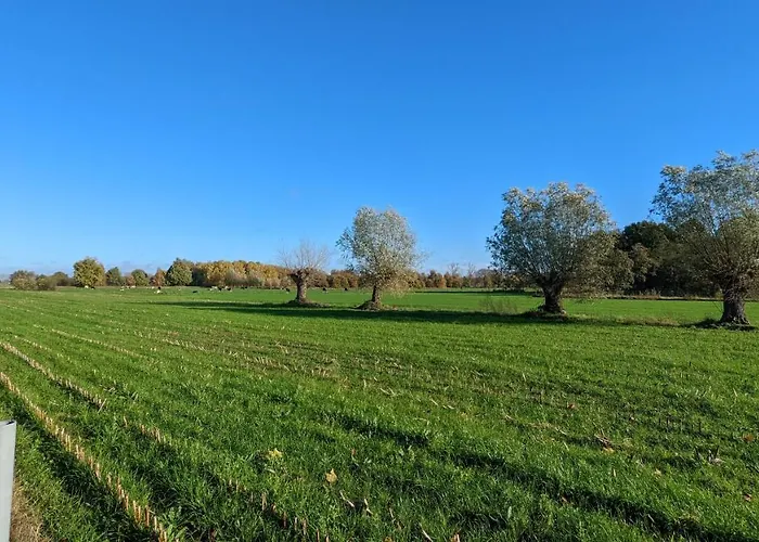 Crash'nstay - N° 9 *