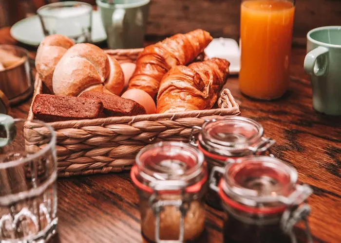 Crash'nstay - N° 9 캠프장 Sprang