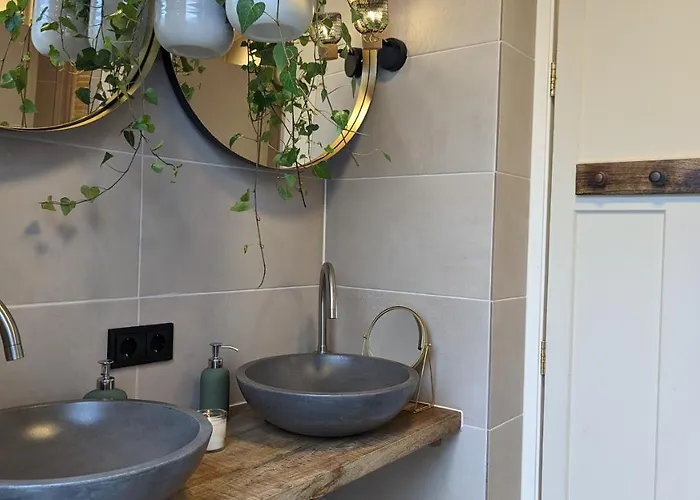 Crash'nstay - N° 9 Sprang