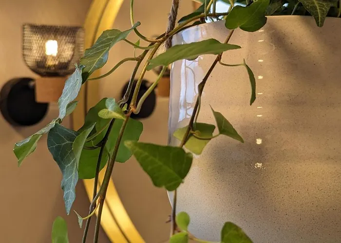 캠프장 Crash'nstay - N° 9