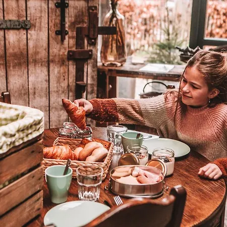 Crash'nstay - N° 9 אתר קמפינג