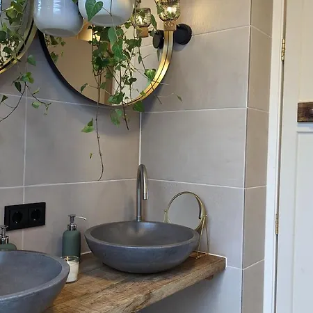 Crash'nstay - N° 9 Sprang