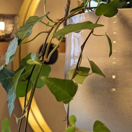 אתר קמפינג Crash'nstay - N° 9